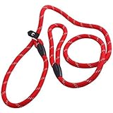 Pet Hund Nylon Verstellbare Schlaufe Schulung Leine Leine Seil Hunde Leine und Halsband 1,2 M rot