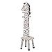 Teamson Kids Childrens Wooden Zebra High Backed Coat Stand Kids Rack and Stool Seat with Hooks W-1945Z