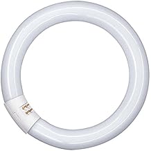 Amazon.fr : 2gx13 Led