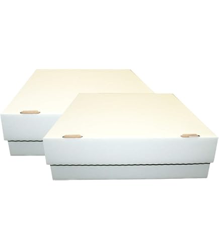 Collect-it Lot De 2 Boîtes De Rangement Géantes Pour 5000 Cartes – Magic, Pokémon, Yu-Gi-Oh, Digimon – Blanc