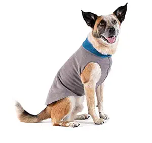 Platinum Dog Coat for Regular Breeds Size: 20, Color: Black/Grey