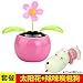 Produktbild Ein schüttelnder Kopfwagen in der Dekoration Netz roten Solar-Apfel schwimmt Auto an Bord Dekorationen Solar Blumenbedarf Kleine Rosa Sonnenblume + rosa Bamboo Holzkohlegrill Hund