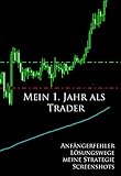 Image de Mein 1. Jahr als Trader