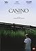 Produktbild Canino (Import Dvd) (2010) Christos Stergioglou; Michelle Valley; Aggeliki Pap