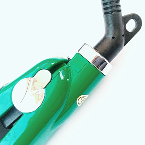 BIOCOSMETICS IT – Professionelle Haarglätter AD Infusion von Dampf – -Platten aus Keramik – Behandlung Argan Hair Repair – Triple Action glatt, befeuchtet und schützt die Haar – Schenkt die Natur Glanz – für jeden Typ von Haar grün - 2