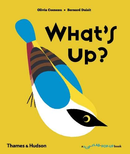 What's Up? (A Flip Flap Pop Up Book)