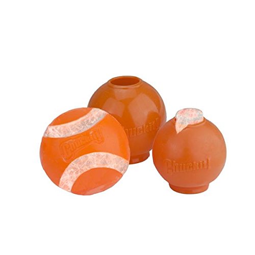 Preisvergleich Produktbild chuck-it. – Hydro Freeze Ball