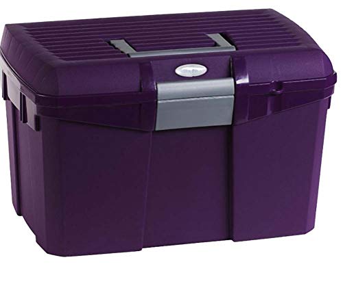 Preisvergleich Produktbild Amesbichler Putzbox Norton, lila / grau / Putzkiste / Putzkoffer / Putzkasten