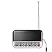 Produktbild t-trees Mini Digital FM Radio Multifunktions Tragbarer Lautsprecher Digital FM Radio Lautsprecher USB Audio Player Micro SD TF-Karte MP3 Musik Player 12 cm LED Display Wecker und Uhr