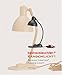 Bauhausleuchten? Kandemlicht!; Bauhaus Lighting? Kandem Light! by