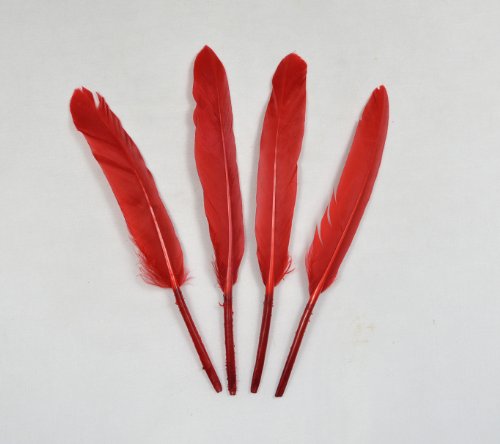 polybagstores 100 *RED* Goose QUILL Feathers 10cm to 15cm / Arts & Crafts/Card Making/Jewellery Making/Toys