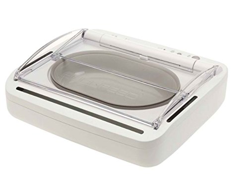 Compact sigillato Pet Bowl - con sensore di movimento integrato - mantiene Wet cibo umido e lontano da insetti - adatto per gatti e cani di piccola taglia