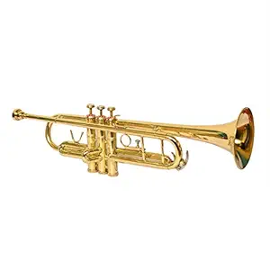 Skylark Musicals International Special Design BB Trumpet Brass Polish With Music Stand Free Mouthpiece and Hard Case