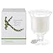 Produktbild Celebration Scented Candle in Posy Glass Vase by Kenneth Turner 200g / 50 Hours - NEW for 2015! by Kenneth Turner
