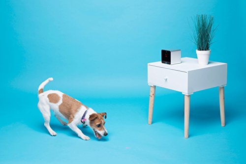 Petcube-Interactive-Wi-Fi-Pet-Camera