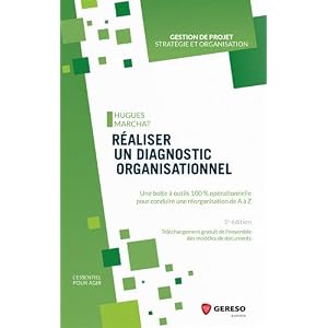Réaliser un diagnostic organisationnel: Une boîte à outils 100% opérationnelle pour conduire une réorganisation de A à Z