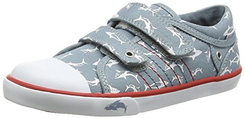 « Click to Enlarge and to go to Amazon »