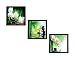 eCraftIndia Set Of 3 White Flora and Stones Satin Matt Texture UV Art Painting RS.495.00