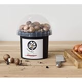 Mushroom Growing Kit - Brown Button Mushroom Grow Kit - Everything Included for Beginners