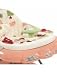 Graco Discovery Walker (Pink)