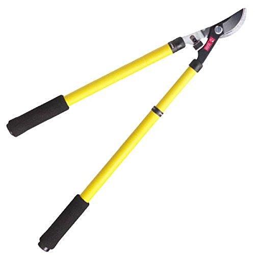 WOLFPACK 8270050 Tijera Podar Profesional Acero Telescópica 2 Manos