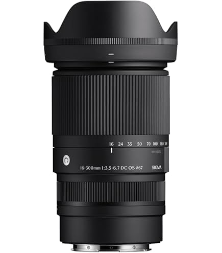 RF85mm F2 MACRO IS STM【チョイワケあり】 RF85mm F2 MACRO IS STM：レンズ交換式カメラ・レンズ｜個人
