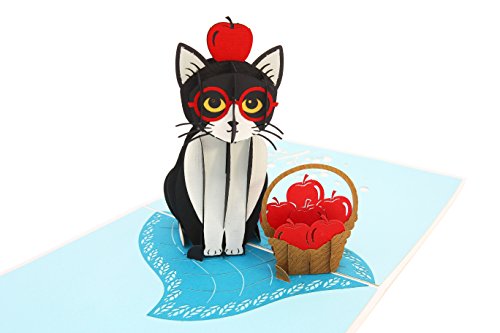  PopLife Playful Cat Pop Up Card, 3D Card For All Occasions - Cat Lover Card, Funny