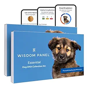 Wisdom Panel Essential: Fundamental Dog DNA Test for Ancestry, Breed and Medical Traits/Conditions - 2 Pack