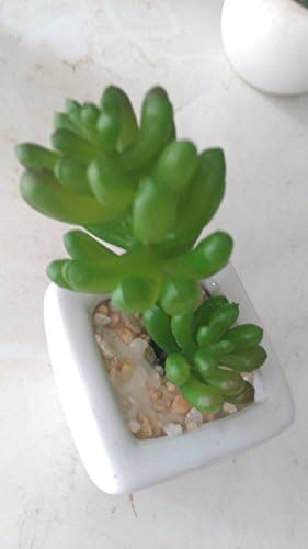 The Fleshy Green Plants Flowers Mini Desktop Small Bonsai Home Furnishing Decoration Decoration,Type 17