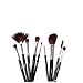 FASH Professional goat and horse hair makeup Brush Set with Faux Leather Pouch, 19-Piece, For Eye Shadow, Blush, Eyeliner, eyebrow.....