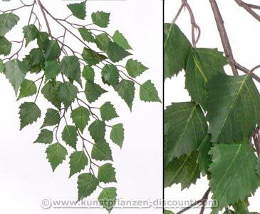 Waldbaum Birken Dekozweig mit 48 grünen Blättern und einer Gesamtlänge inkl. Stiel von ca. 64cm - Kunstpflanze Kunstbaum künstliche Bäume Kunstbäume Gummibaum Kunstoffpflanzen Dekopflanzen Textilpflanzen Textilbäume Pflanzen aus Textil Kunststoffpflanzen Plastikpflanze Kunstpflanzenbaum Kunstblumen Deko Blumen --> großes Kunstpflanzen Sortiment - Wandverkleidungen