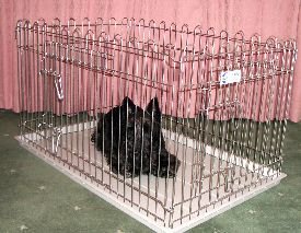 Croft-puppy-pen-with-base-tray-and-2-gates-41-x-27-x-23-inches-high