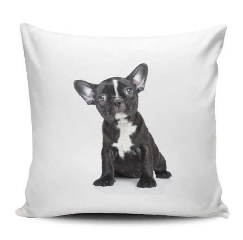 Kissenhülle / Kissenbezug 40x40cm - Motiv: Französische Bulldogge schwarzer Welpe sitzend | 002