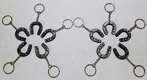 10 Lucky Horseshoe Keychains