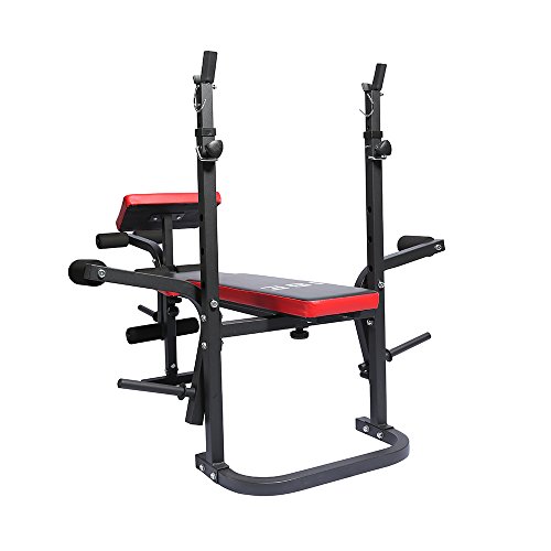Obtener ISE Banco de Musculación Multifuncional Inclinable para
Entrenamiento Completo, Banca de Peso Ajustable Plegable Fitness
Doméstico para Casa, Máx 150KG SY-5430B Descuento