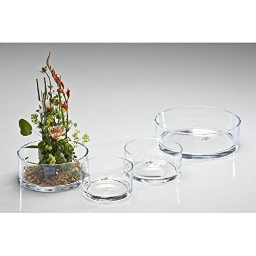 Glasschale, Dekoschale AUTOMATIC rund klar H. 7,5cm Ø 13,5cm Sandra Rich - 2