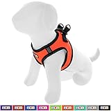 EL ARNÉS PERFECTO PARA TODA MASCOTA: Contamos con un arnés de perro extra extra pequeño hasta un arnés de perro extra grande. Teniendo en cuenta las necesidades de su mascota, nuestros productos están diseñados priorizando su seguridad y comodidad, un gran arnés para cachorros que también puede usarse como arnés para perros senior.