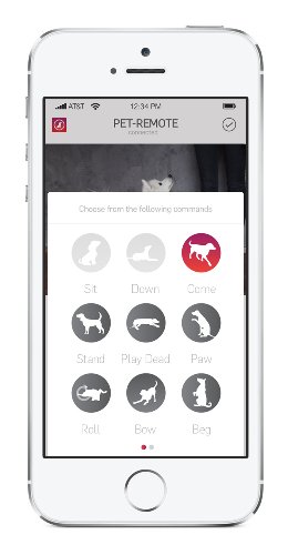 Tractive-Pet-Remote-Dog-Clicker