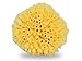 4 Pack Natural Sea Sponge for Baby & Toddler Bath By Contented Infant (TM) - Gentle Hypoallergenic Baby Shower Care Gift Set