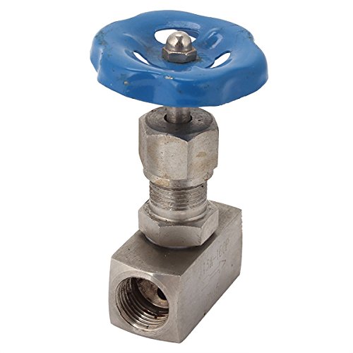 WEONE Anti-Rust 1/2 "DN15 Edelstahl Nadelventil Female mit Innengewinde Hochdruck 6,4 MPa