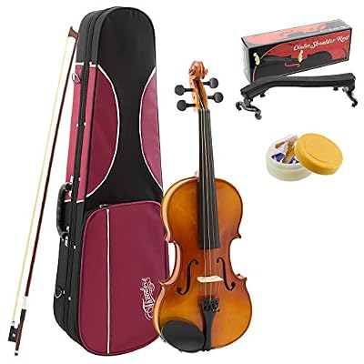 Theodore Violon premium 4/4 Violon d'étude 4/4 et accessoires pour débutants n/a