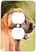Price comparison product image 3dRose LLC LSP_4501_6 Leonberger Portrait 2 Plug Outlet Cover