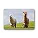Produktbild mfsore Spezial-Passepartout Alpaca Bella rutschfest Home Decor für Küche Schlafzimmer Bagno 23,6 (L) x 15,7 (W)