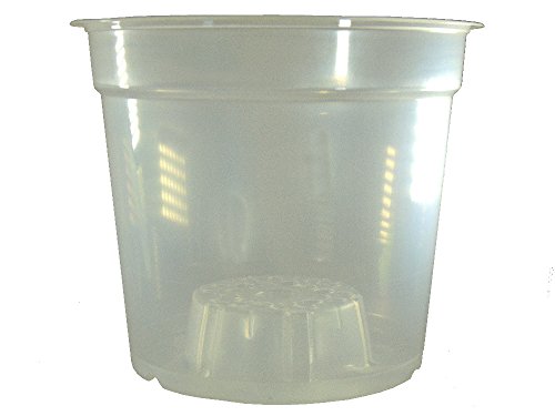 Orchideentopf Klarsichtcontainer rund 15cm transparent 10er Pack
