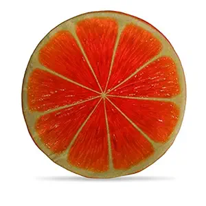 DreamVio Round Cushion/Foam Cushion Velvet Fabric Suitable for Wheelchair, Car Seat, Home, Outing Purpose (Multicolour, 14 x 14 inch) Design 49