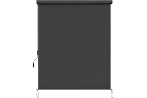 vanvilla Senkrechtmarkise 200x250 cm außen Außenrollo Balkon Markise Sichtschutz Sonnenschutz Balkon Vertikalmarkise Balkon Rollo außen Aluminiumkassette Markise Anthrazit