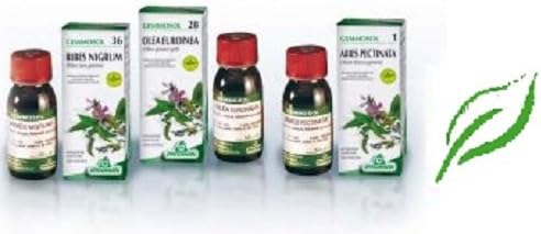 Gemmosol 15 Carpino 50ml Mg