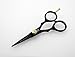 Professional Hairdressing Scissors 4.5 inch, BLACK, Top Quality - by Sanguine