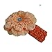 Peony Flower Hair Clips with Crochet Headbands for Baby Toddler Youth Girls