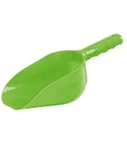 BigDean